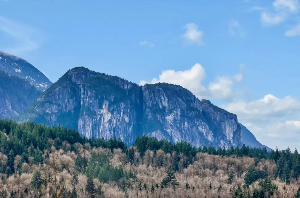 2934 HUCKLEBERRY DRIVE, Squamish BC V8B 1B2, Squamish BC — Land for Sale - Photo 6