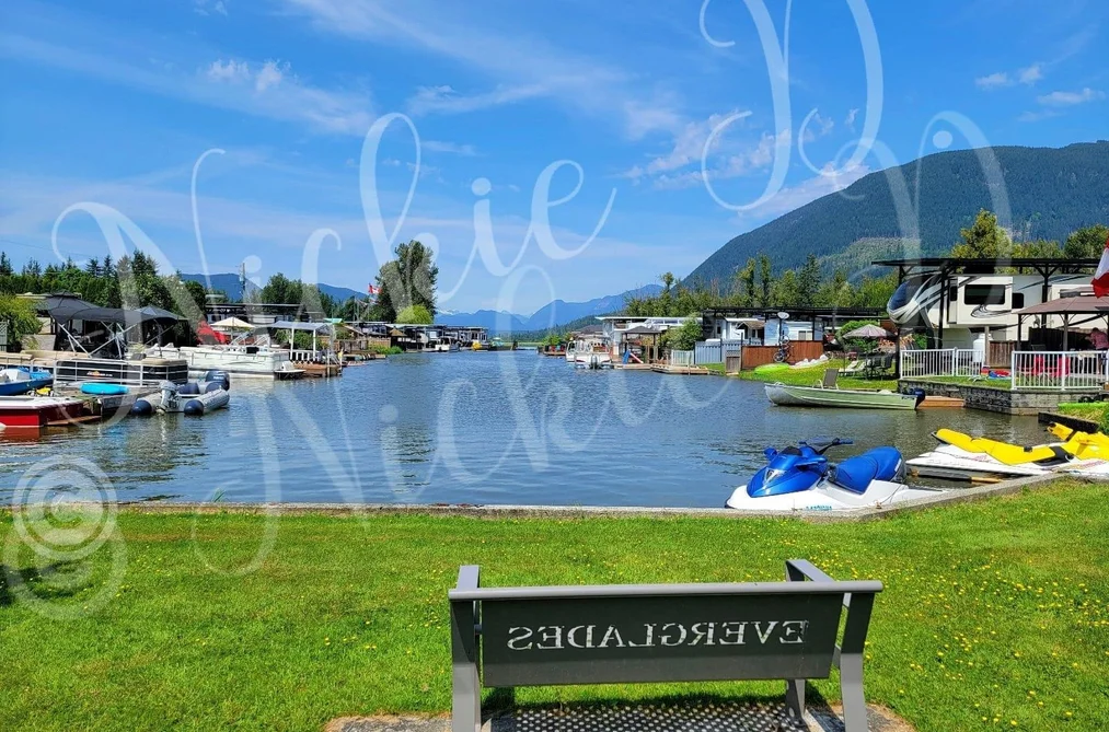 297 8400 SHOOK ROAD, Mission BC V2V 7L3, Mission BC — Land for Sale - Photo 3