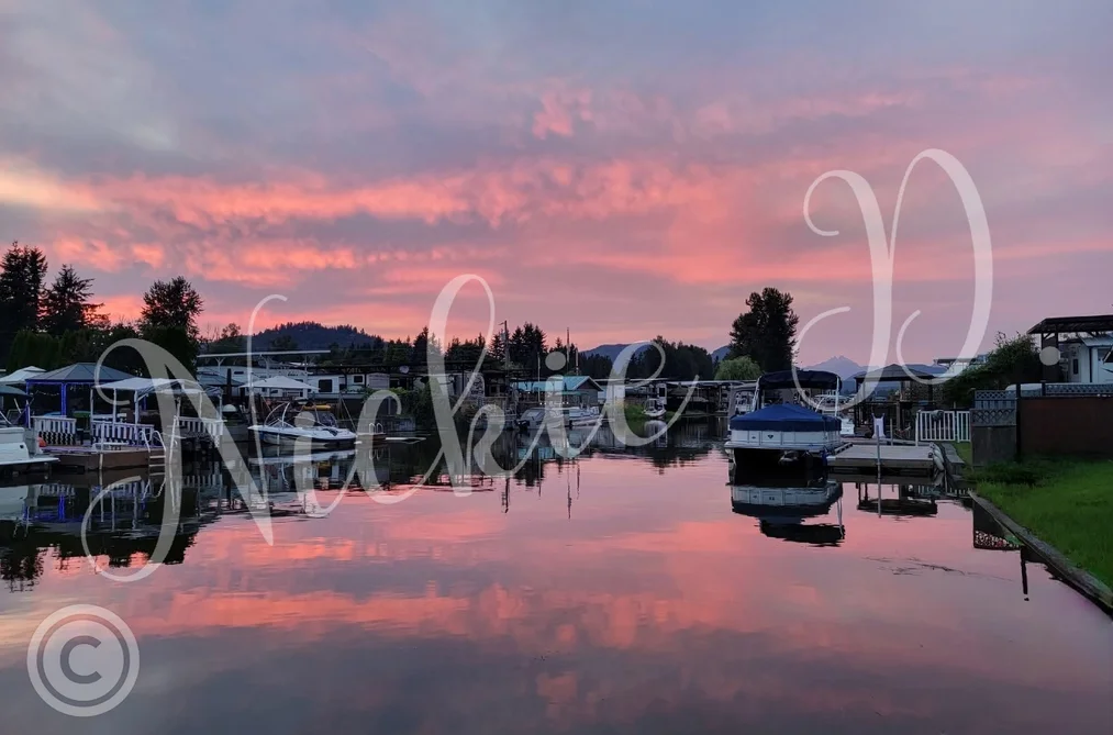 297 8400 SHOOK ROAD, Mission BC V2V 7L3, Mission BC — Land for Sale - Photo 4