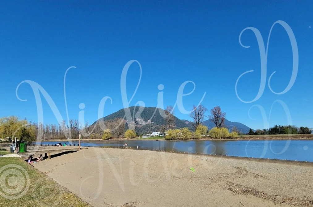 297 8400 SHOOK ROAD, Mission BC V2V 7L3, Mission BC — Land for Sale - Photo 5