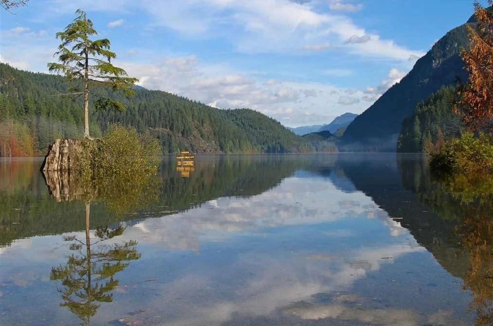 2982 SUNNYSIDE ROAD, Anmore BC V3H 4Y7, Anmore BC — Land for Sale - Photo 2