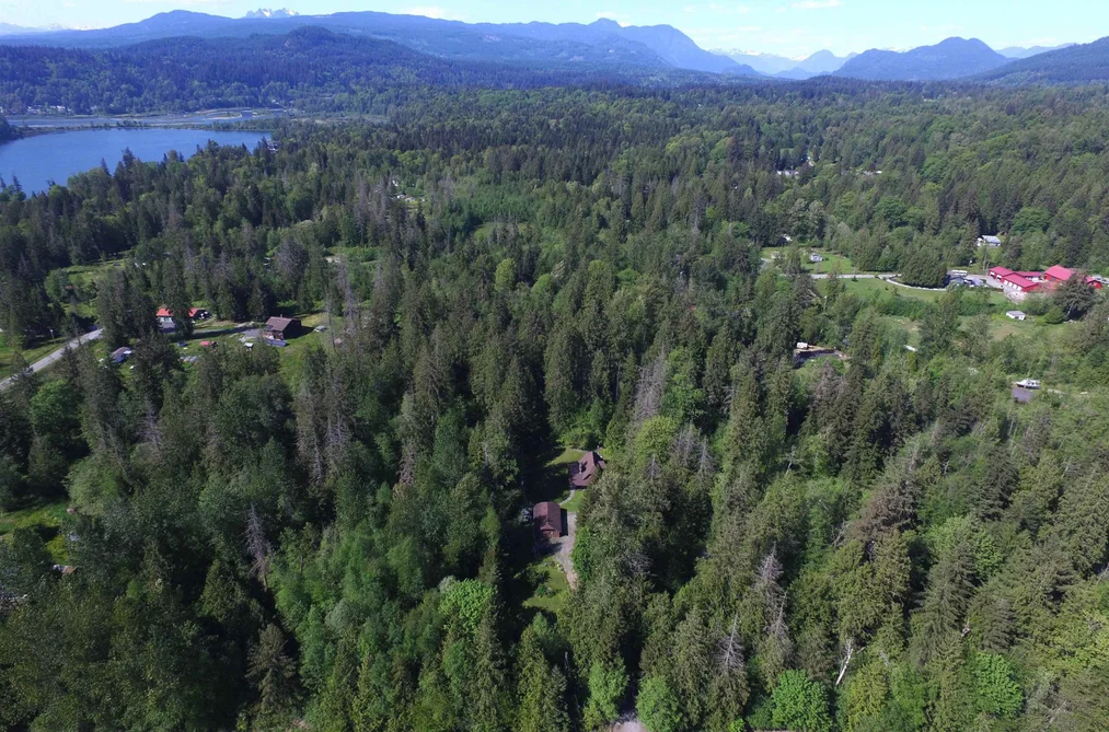 29933 ANDERSON AVENUE, Mission BC V4S 1H9, Mission BC — Residential for Sale - Photo 2
