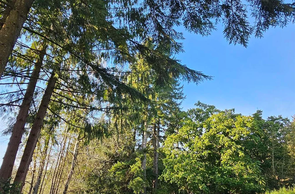 29945 SILVERDALE AVENUE, Mission BC V4S 1H2, Mission BC — Land for Sale - Photo 5