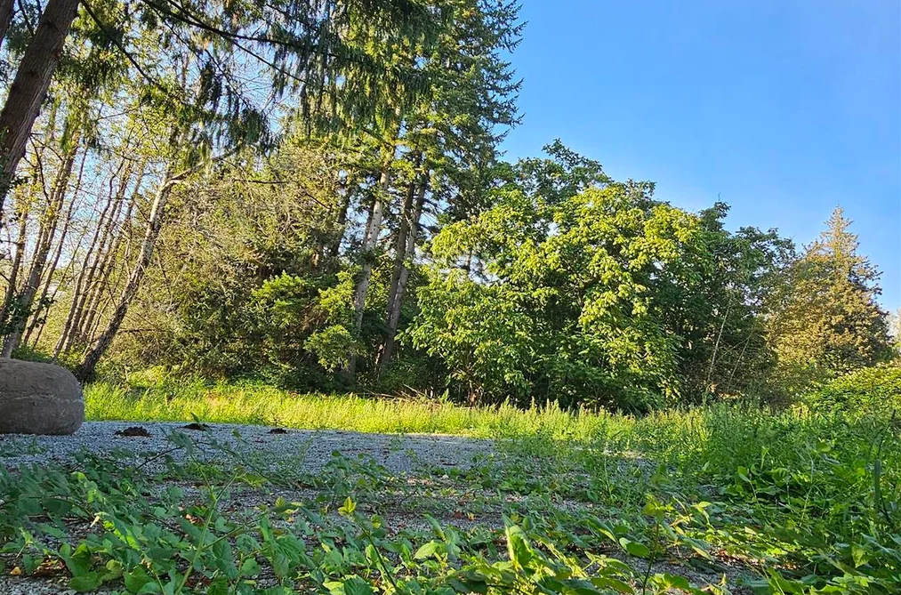 29945 SILVERDALE AVENUE, Mission BC V4S 1H2, Mission BC — Land for Sale - Photo 6