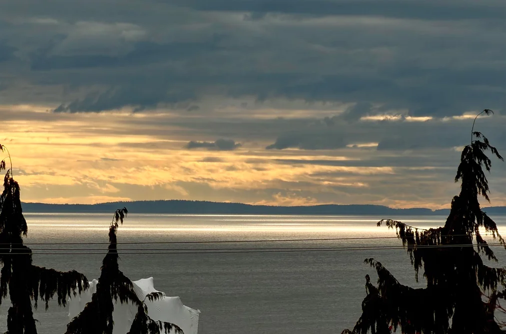 15161 Prospect Ave Unit 3, White Rock, BC - MLS: R3165357