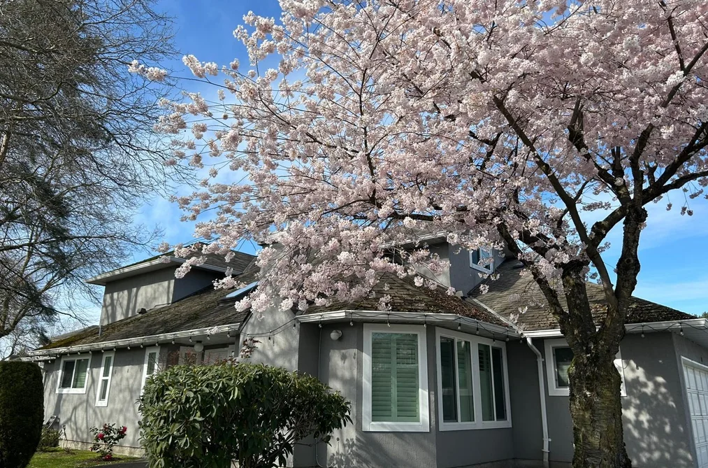 Townhouse for sale at 30 9731 Capella Drive Richmond British Columbia - MLS: R3102381