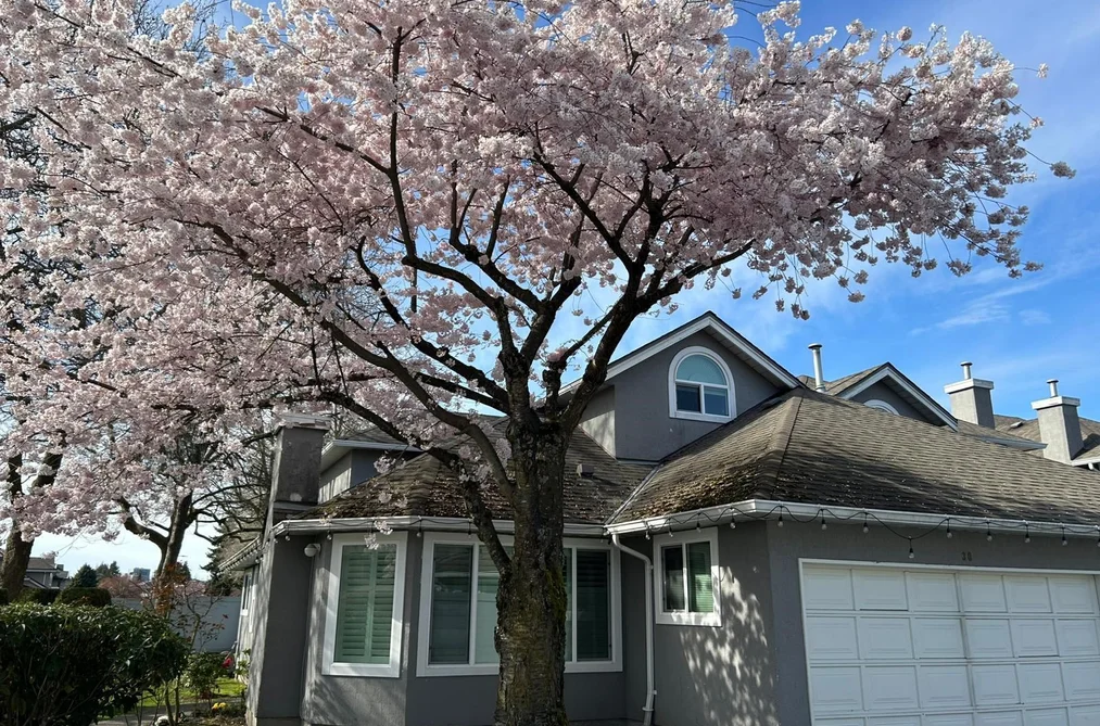 30 9731 CAPELLA DRIVE, Richmond BC V6X 3R1, Richmond BC — Residential for Sale - Photo 2