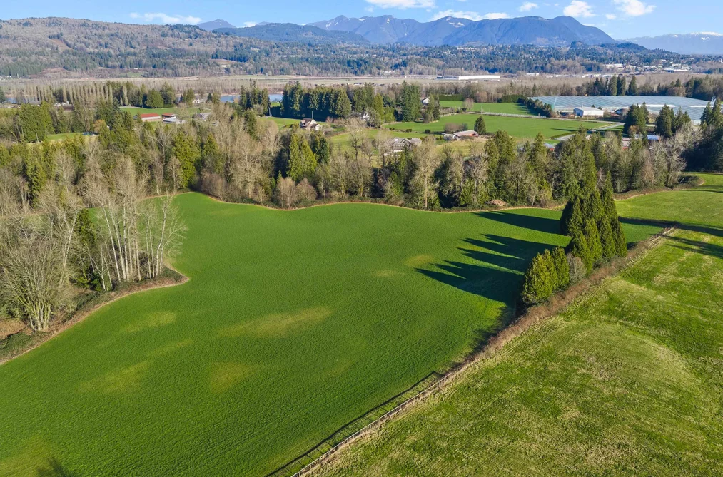House for sale at 30067 Taylor Road Abbotsford British Columbia - MLS: R3080698