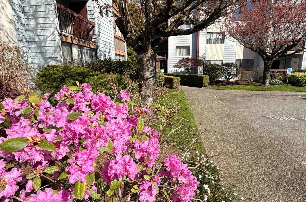 302 2279 MCCALLUM ROAD, Abbotsford BC V2S 3N7, Abbotsford BC — Residential for Sale - Photo 2