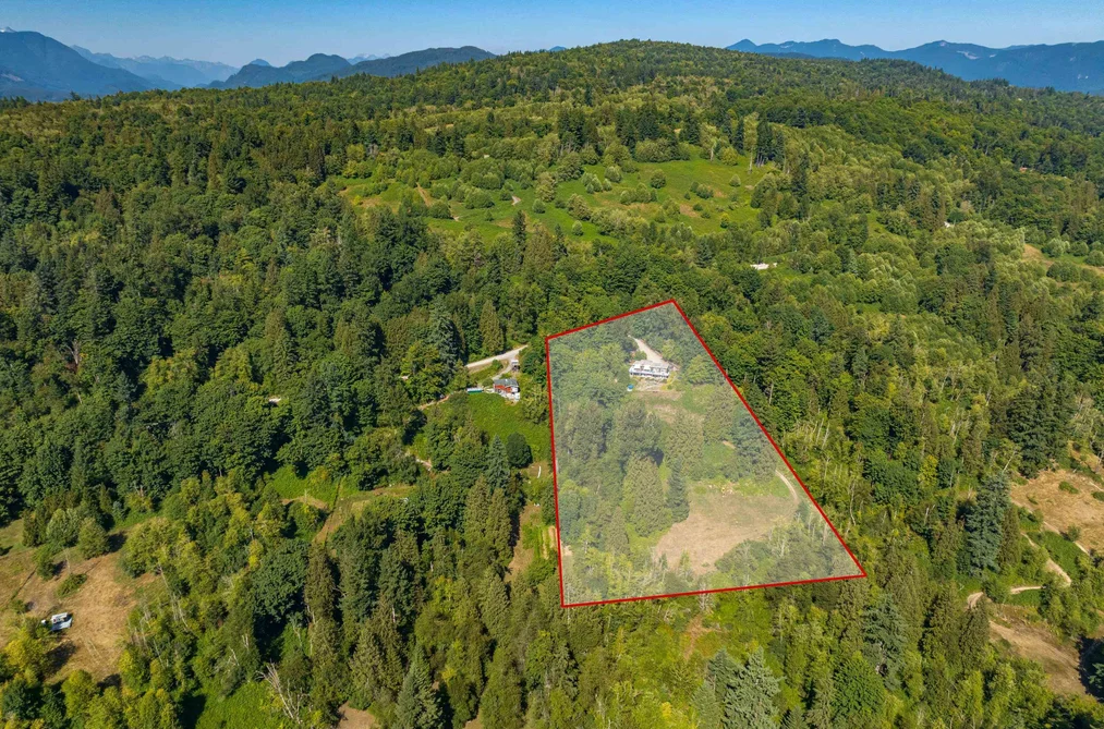 House for sale at 30356 Gunn Avenue Mission British Columbia - MLS: R3109554