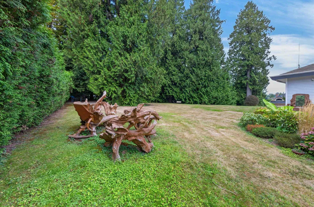 3039 163 St Street, Surrey, BC - MLS: R3162070 - Photo 9
