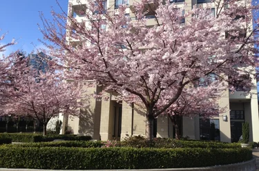 4333 Central Blvd Unit 307, Burnaby, BC - MLS: R3173870