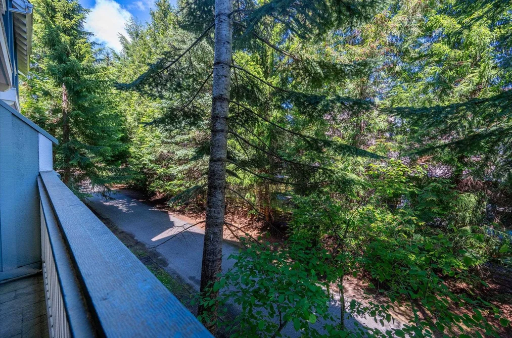 308 4405 BLACKCOMB WAY, Whistler BC V8E 0X7, Whistler BC — Residential for Sale — Photo 10 of 26