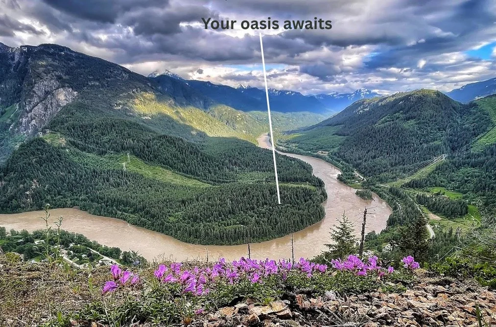 House for sale at 30850 East Of River Road Yale British Columbia - MLS: R3019979