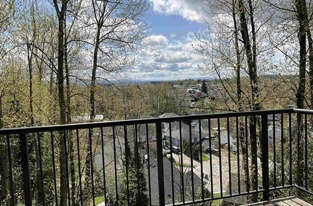 30914 UPPER MACLURE ROAD, Abbotsford BC V2T 0A4, Abbotsford BC — Residential for Sale - Photo 3
