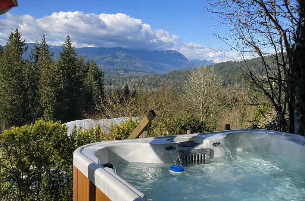 31081 SILVERHILL AVENUE, Mission BC V4S 1G9, Mission BC — Residential for Sale - Photo 4