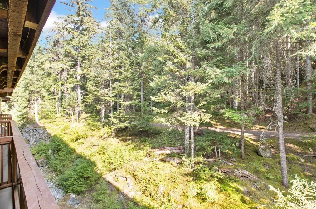 310G2 4653 BLACKCOMB WAY, Whistler BC V8E 0Y9, Whistler BC — Residential for Sale - Photo 6