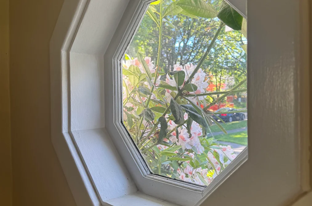311 W 21ST AVENUE, Vancouver BC V5Y 2E4, Vancouver BC — Residential for Sale — Photo 10 of 29