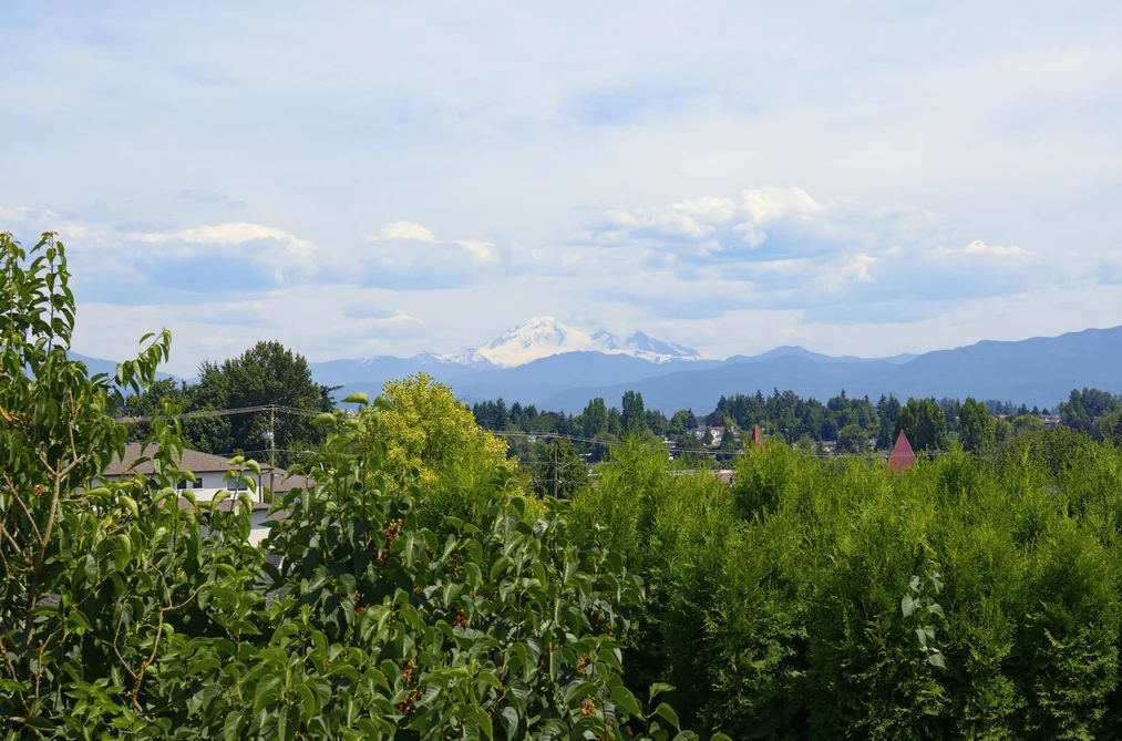31122 SOUTHERN DRIVE, Abbotsford BC V2T 5K2, Abbotsford BC — Residential for Sale — Photo 34 of 39