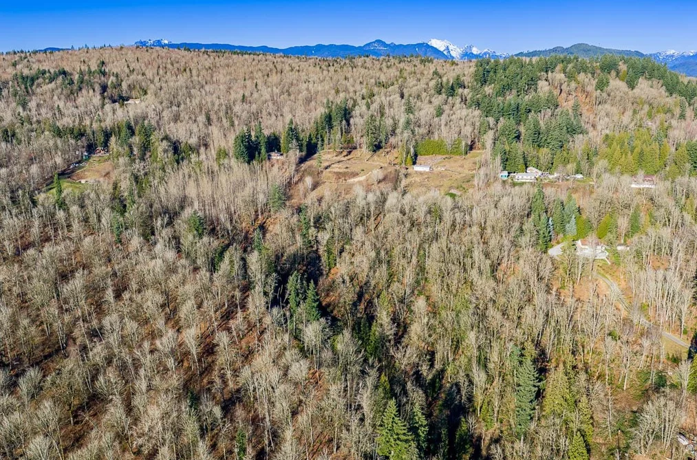 31390 OLSON AVENUE, Mission BC V4S 1E8, Mission BC — Land for Sale - Photo 2