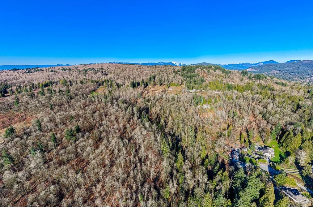 31390 OLSON AVENUE, Mission BC V4S 1E8, Mission BC — Land for Sale - Photo 3