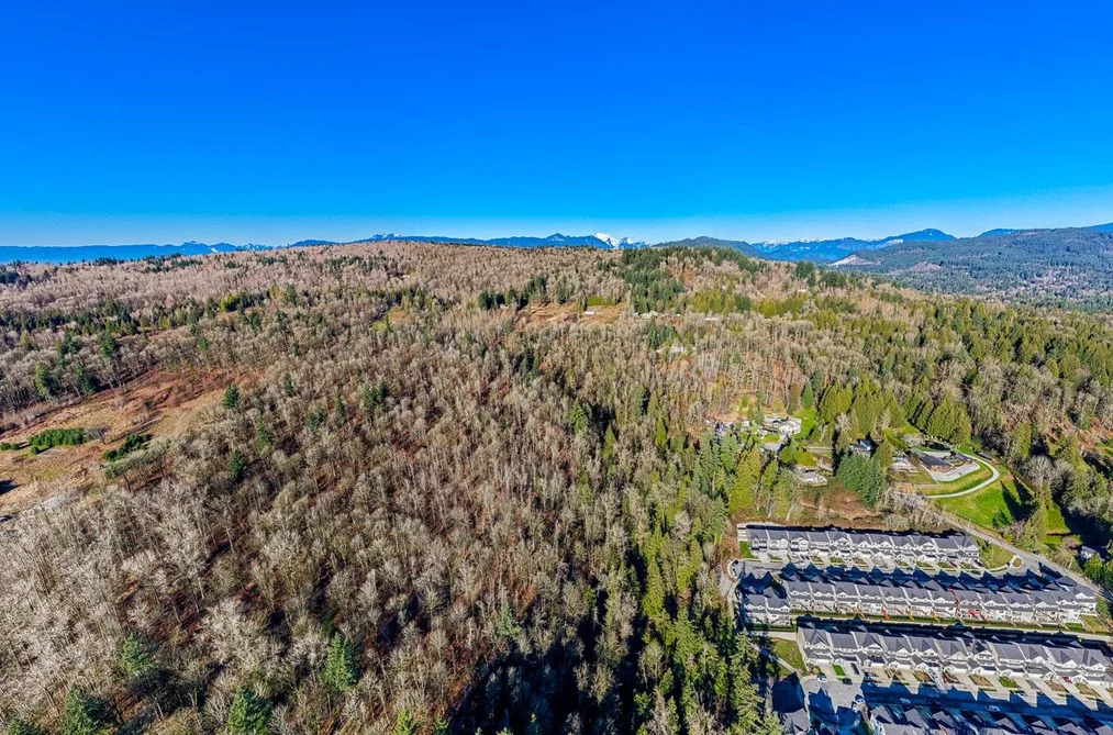 31390 OLSON AVENUE, Mission BC V4S 1E8, Mission BC — Land for Sale - Photo 4