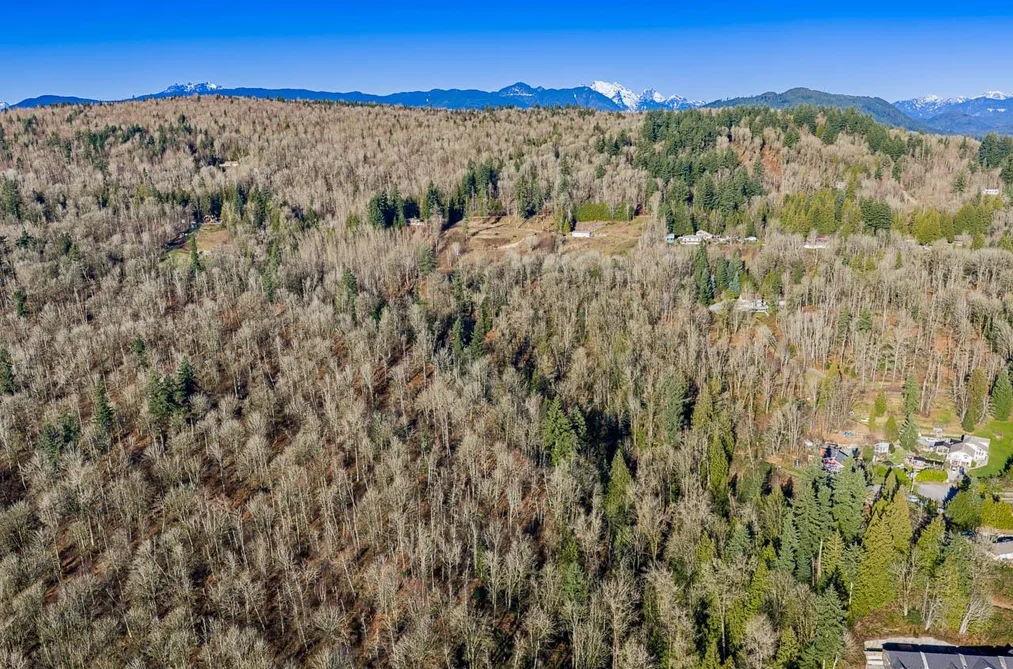 31390 OLSON AVENUE, Mission BC V4S 1E8, Mission BC — Land for Sale - Photo 5