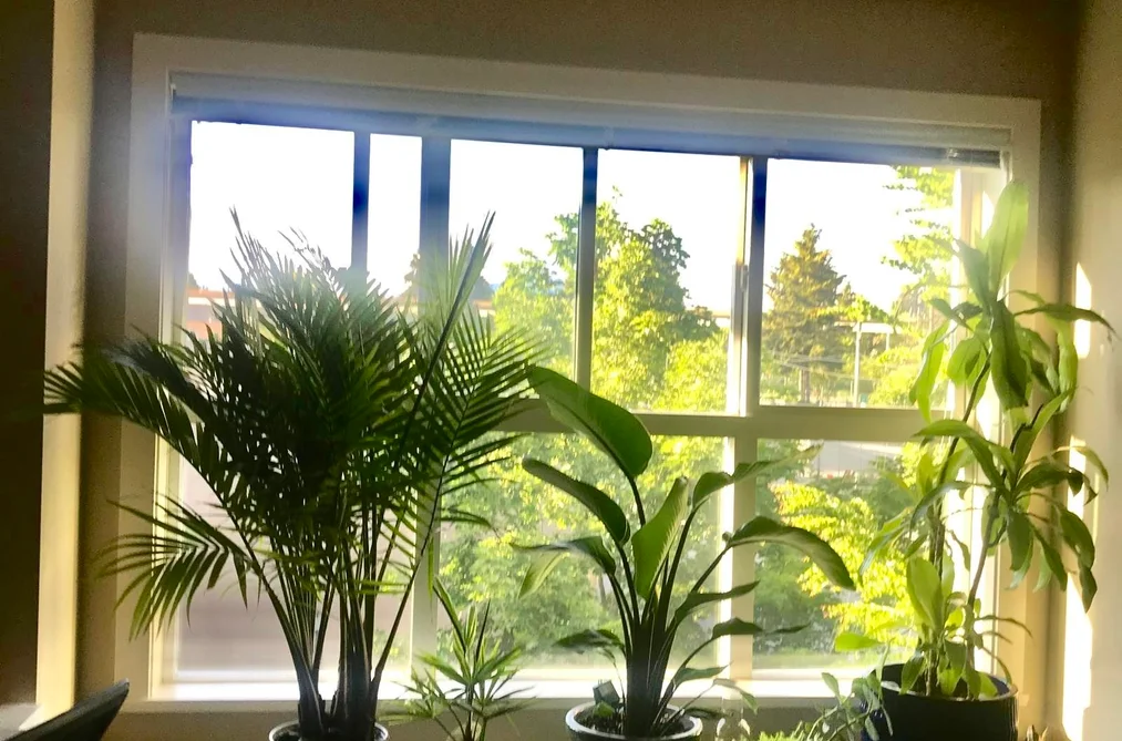 314 5889 IRMIN STREET, Burnaby BC V5J 0C1, Burnaby BC — Residential for Sale - Photo 4