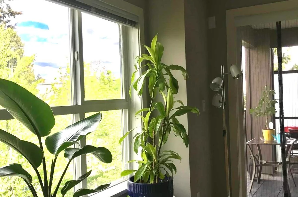 314 5889 IRMIN STREET, Burnaby BC V5J 0C1, Burnaby BC — Residential for Sale - Photo 5