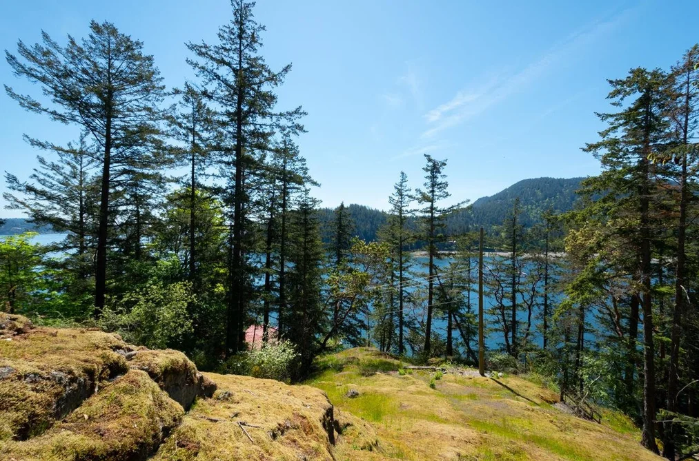 319 DAVID ROAD, Bowen Island BC V0N 1G1, Bowen Island BC — Land for Sale - Photo 2