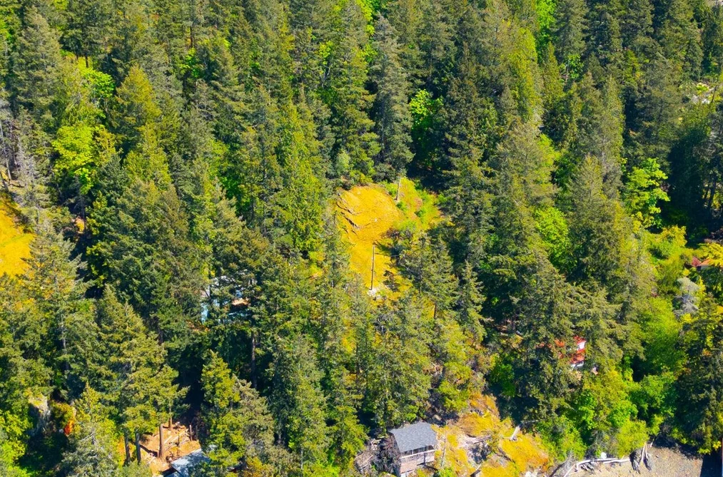 319 DAVID ROAD, Bowen Island BC V0N 1G1, Bowen Island BC — Land for Sale - Photo 3