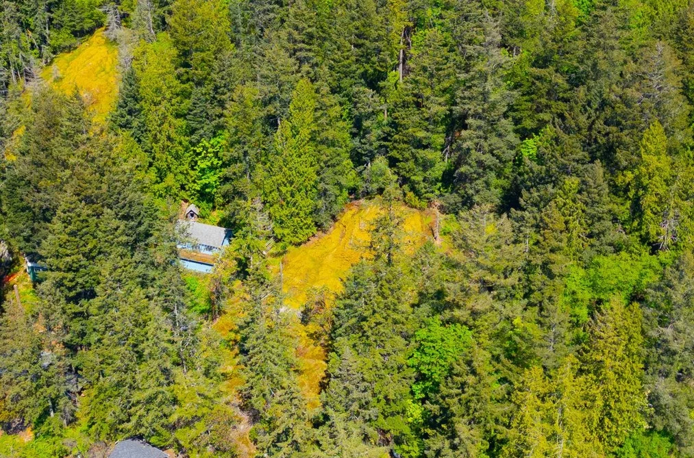 319 DAVID ROAD, Bowen Island BC V0N 1G1, Bowen Island BC — Land for Sale - Photo 6