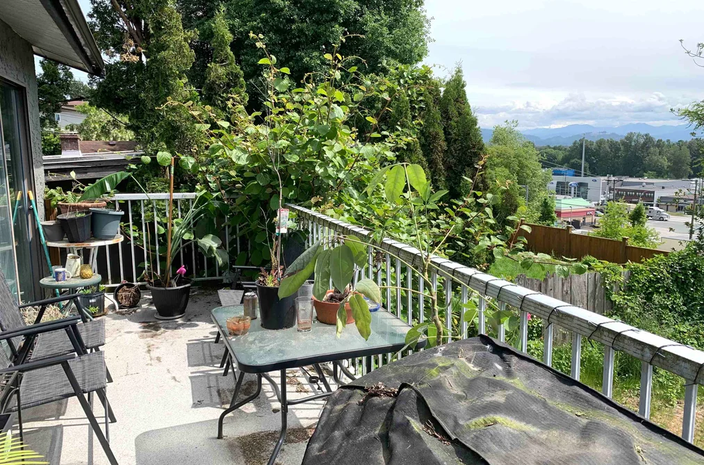 31964 RAVEN AVENUE, Mission BC V2V 1B9, Mission BC — Residential for Sale - Photo 7