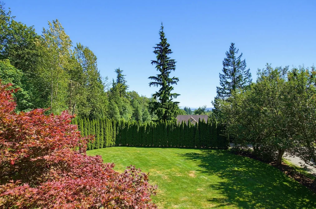 31991 BENCH AVENUE, Mission BC V4S 1E6, Mission BC — Residential for Sale — Photo 24 of 40