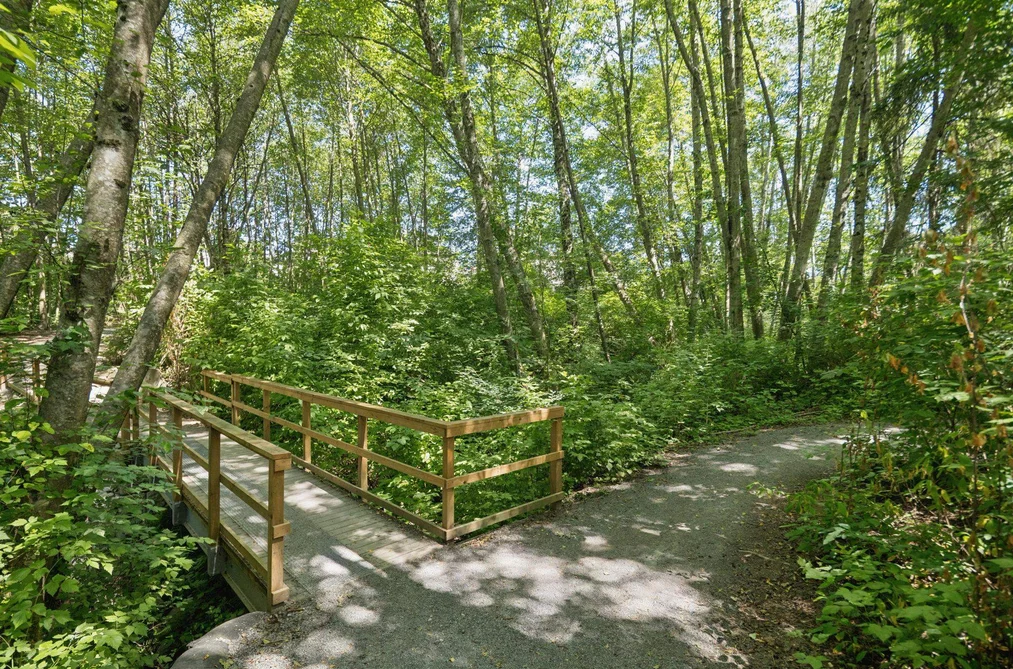 32 3039 156 STREET, Surrey BC V3Z 6T5, Surrey BC — Residential for Sale — Photo 39 of 40