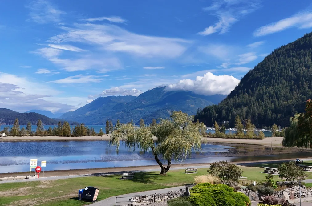320 378 ESPLANADE AVENUE, Harrison Hot Springs, BC — Residential for Sale — Photo 3 of 12
