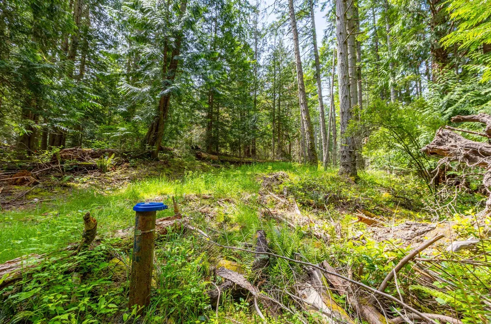 320 ORCA VIEW LANE, Galiano Island BC V0N 1P0, Galiano Island BC — Land for Sale - Photo 3
