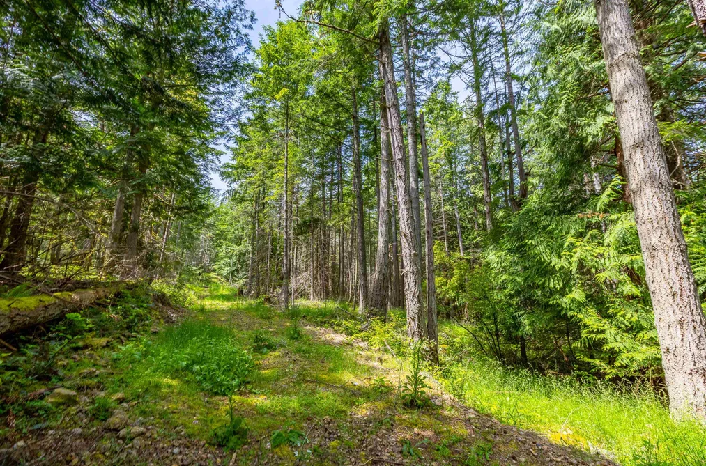 320 ORCA VIEW LANE, Galiano Island BC V0N 1P0, Galiano Island BC — Land for Sale - Photo 4