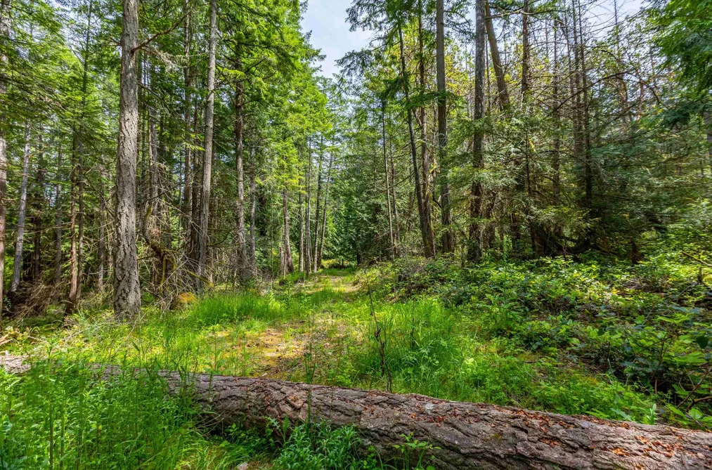 320 ORCA VIEW LANE, Galiano Island BC V0N 1P0, Galiano Island BC — Land for Sale - Photo 6