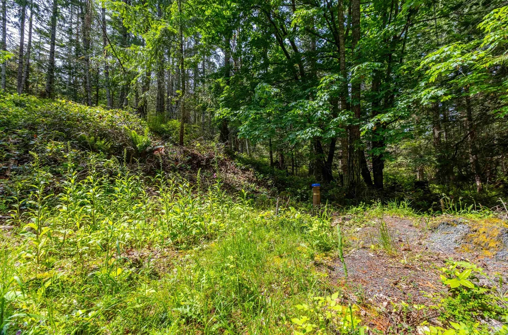 320 ORCA VIEW LANE, Galiano Island BC V0N 1P0, Galiano Island BC — Land for Sale - Photo 7