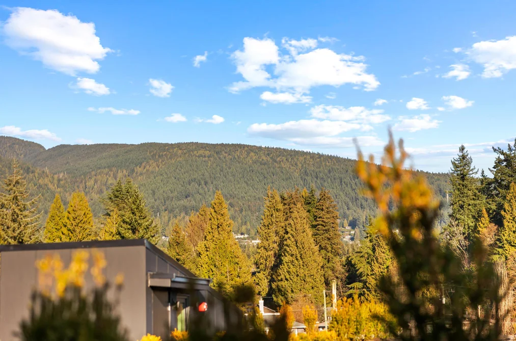 3206 HIGHLAND BOULEVARD, North Vancouver BC V7R 2V9, North Vancouver BC — Residential for Sale — Photo 31 of 40