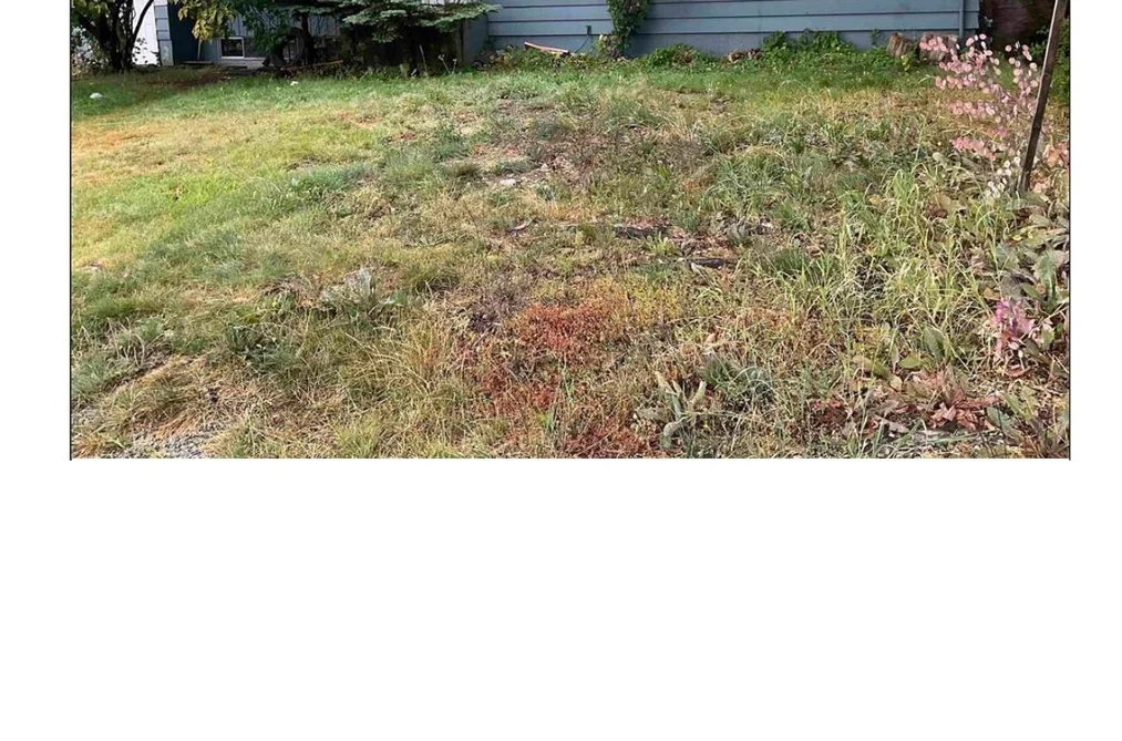 House for sale at 32210 Autumn Avenue Abbotsford British Columbia - MLS: R3133145