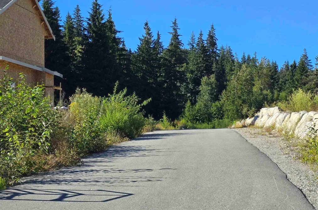 Property for sale at 32221 Richards Avenue Mission British Columbia - MLS: R3151753