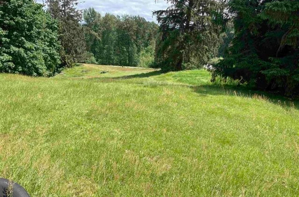 32383 DOWNES ROAD, Abbotsford BC V2T 1X3, Abbotsford BC — Residential for Sale - Photo 5