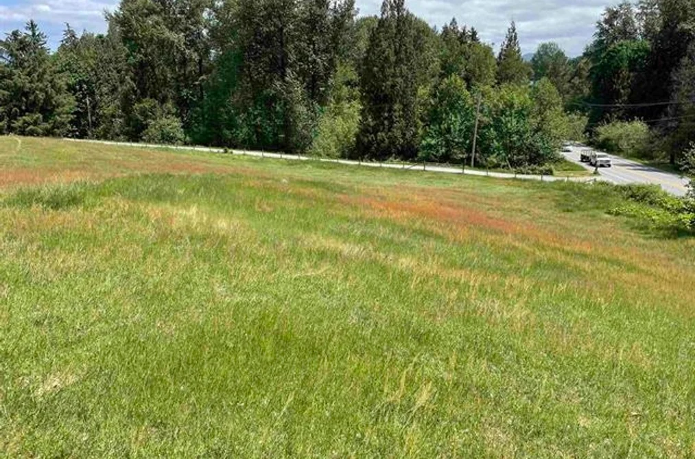 32383 DOWNES ROAD, Abbotsford BC V2T 1X3, Abbotsford BC — Residential for Sale - Photo 6