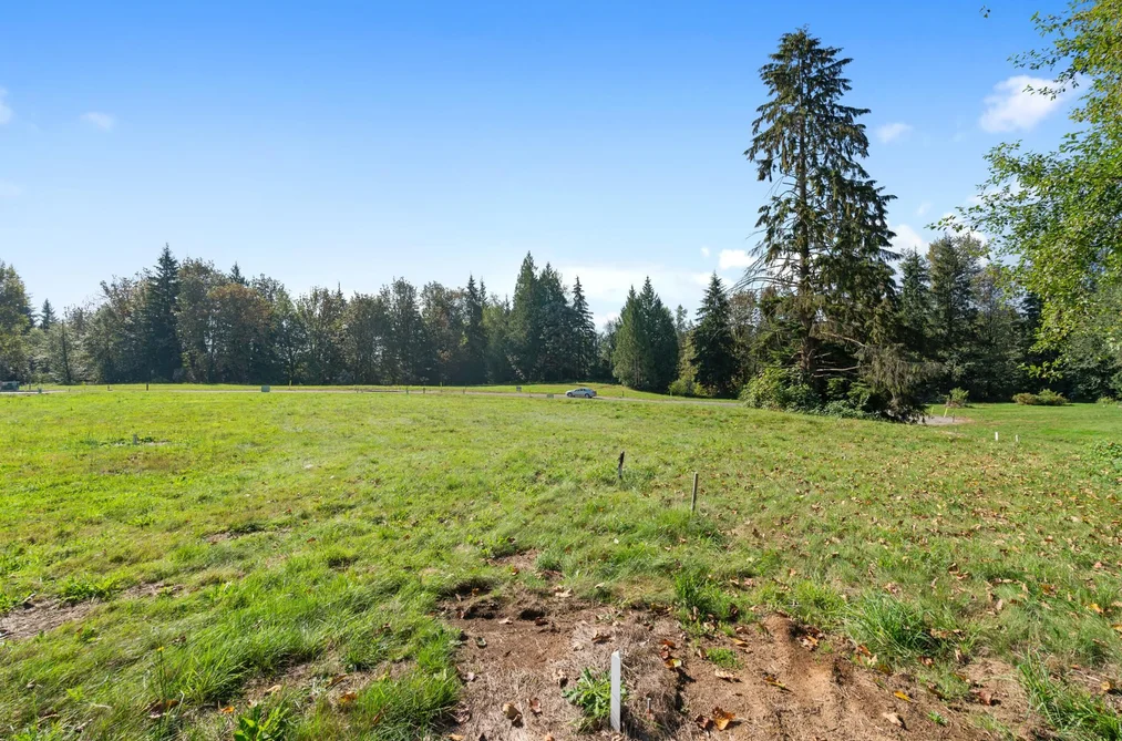 32415 SILVER CREEK DRIVE, Mission BC V2V 0L7, Mission BC — Land for Sale - Photo 3