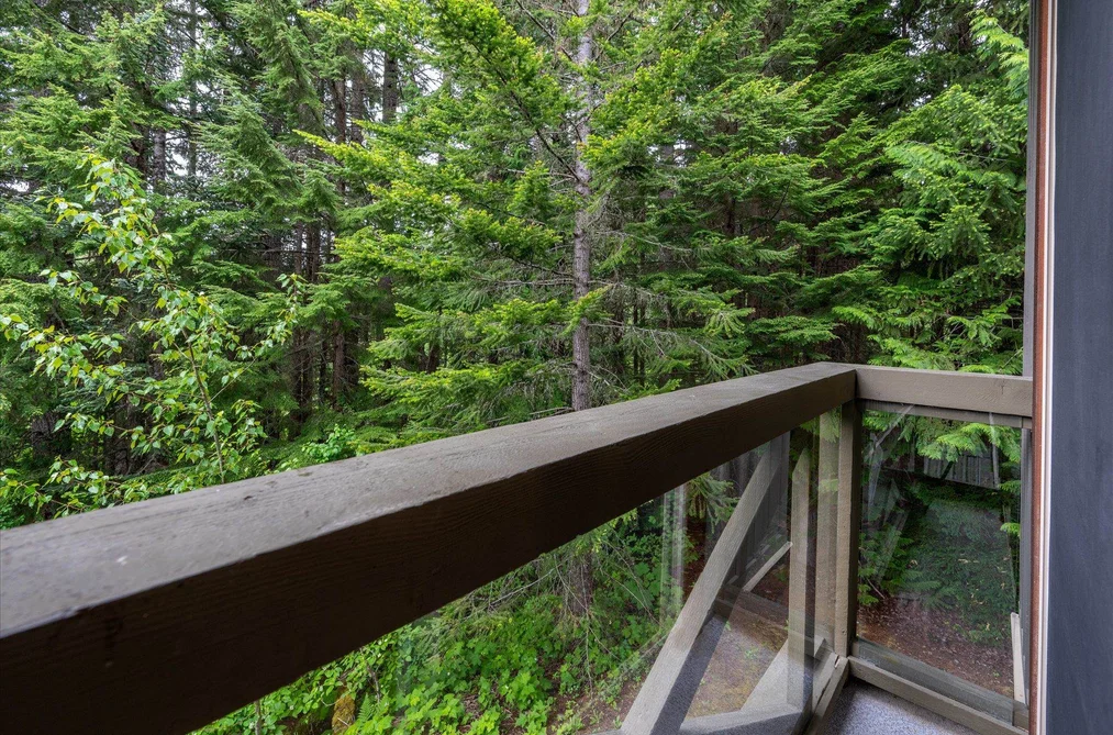 325 4660 BLACKCOMB WAY, Whistler BC V0N 1B4, Whistler BC — Residential for Sale — Photo 3 of 28