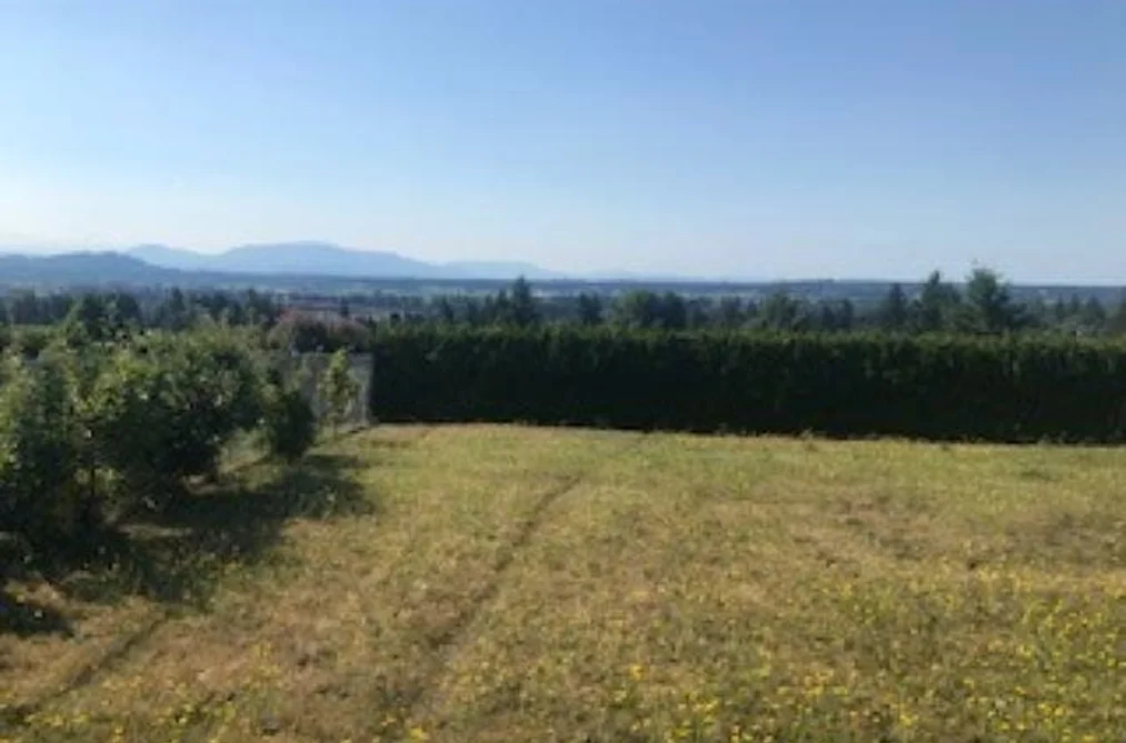 House for sale at 32882 12th Avenue Mission British Columbia - MLS: R3151739