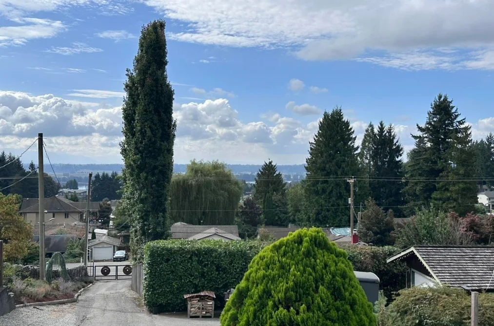 33017 14th Avenue, Mission, BC - MLS: R3164818 - Photo 35 33017 14th Avenue, Mission, BC - MLS: R3164818 - Photo 35