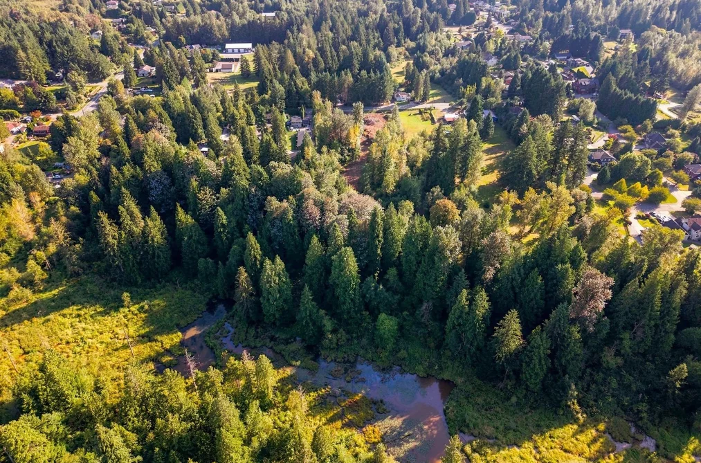 33181 Dewdney Trunk Road, Mission, BC - MLS: R3163994 - Photo 16 33181 Dewdney Trunk Road, Mission, BC - MLS: R3163994 - Photo 16